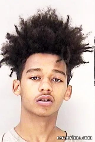 Makale Jones booking photo