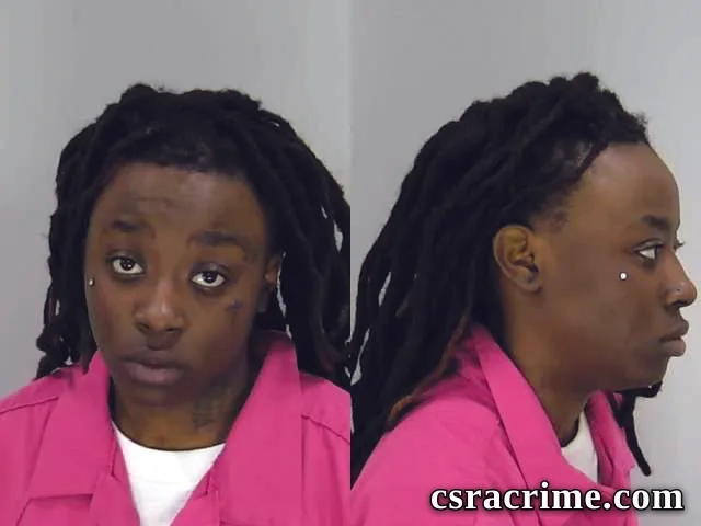 Makayla Johnson booking photo