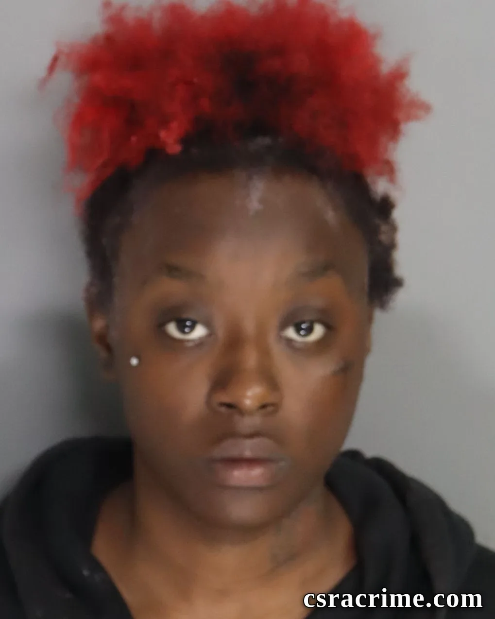 Makayla Johnson booking photo