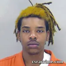 Maki Mcneil booking photo