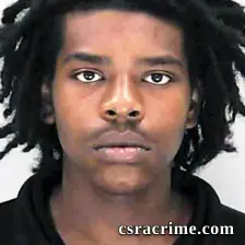 Maki Mcneil booking photo