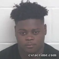 Malik Raequan Holsey booking photo