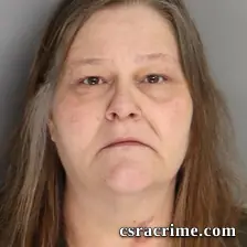 Mandy Fields booking photo
