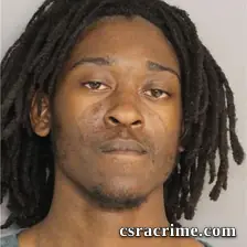 Marcele Holmes booking photo