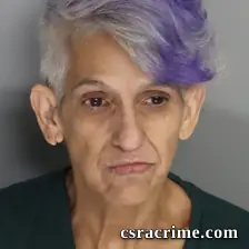 Maria Mesa booking photo