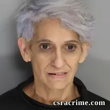 Maria Mesa booking photo