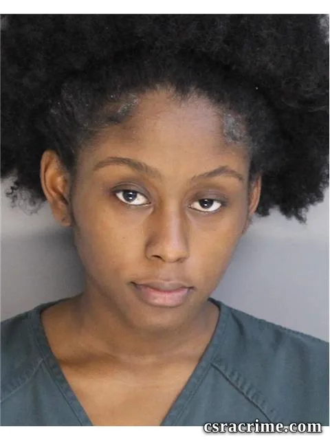 Mariah Burnett booking photo