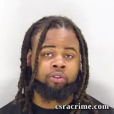 Mariell Williams booking photo