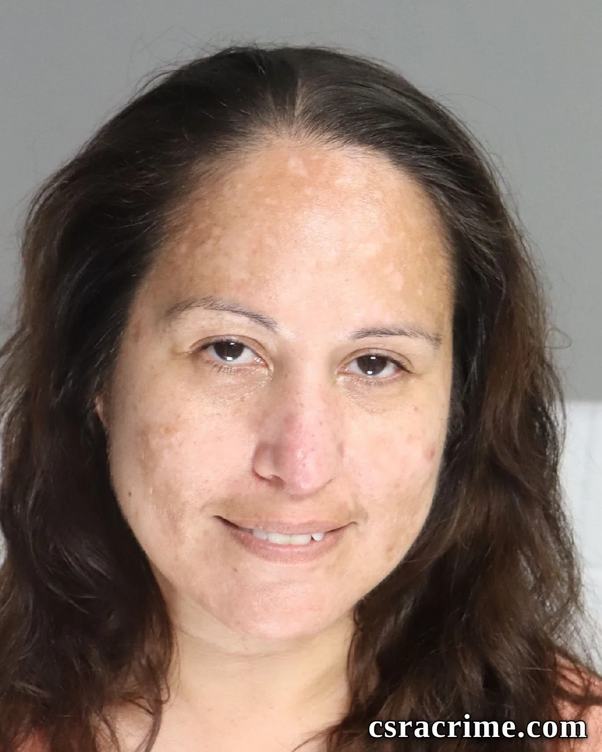 Marina Castillo booking photo