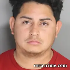 Mario Dominguez Amaya booking photo