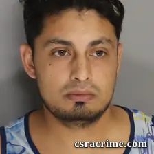Mario Flores booking photo