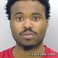 Mario Palmer booking photo