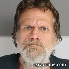 Mark Bridges booking photo