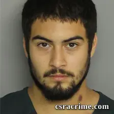 Martin Chavez JR booking photo