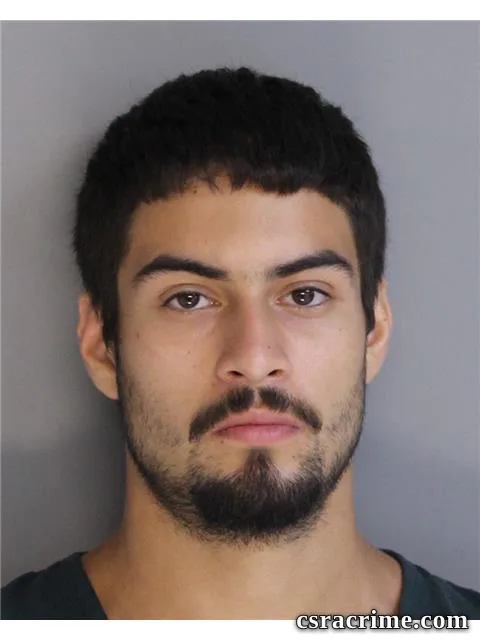 Martin Chavez JR booking photo