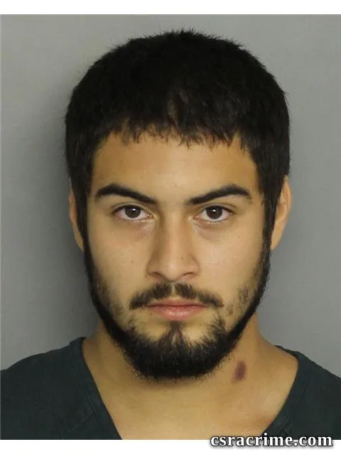 Martin Chavez JR booking photo