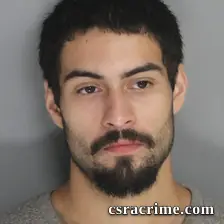 Martin Chavez JR booking photo