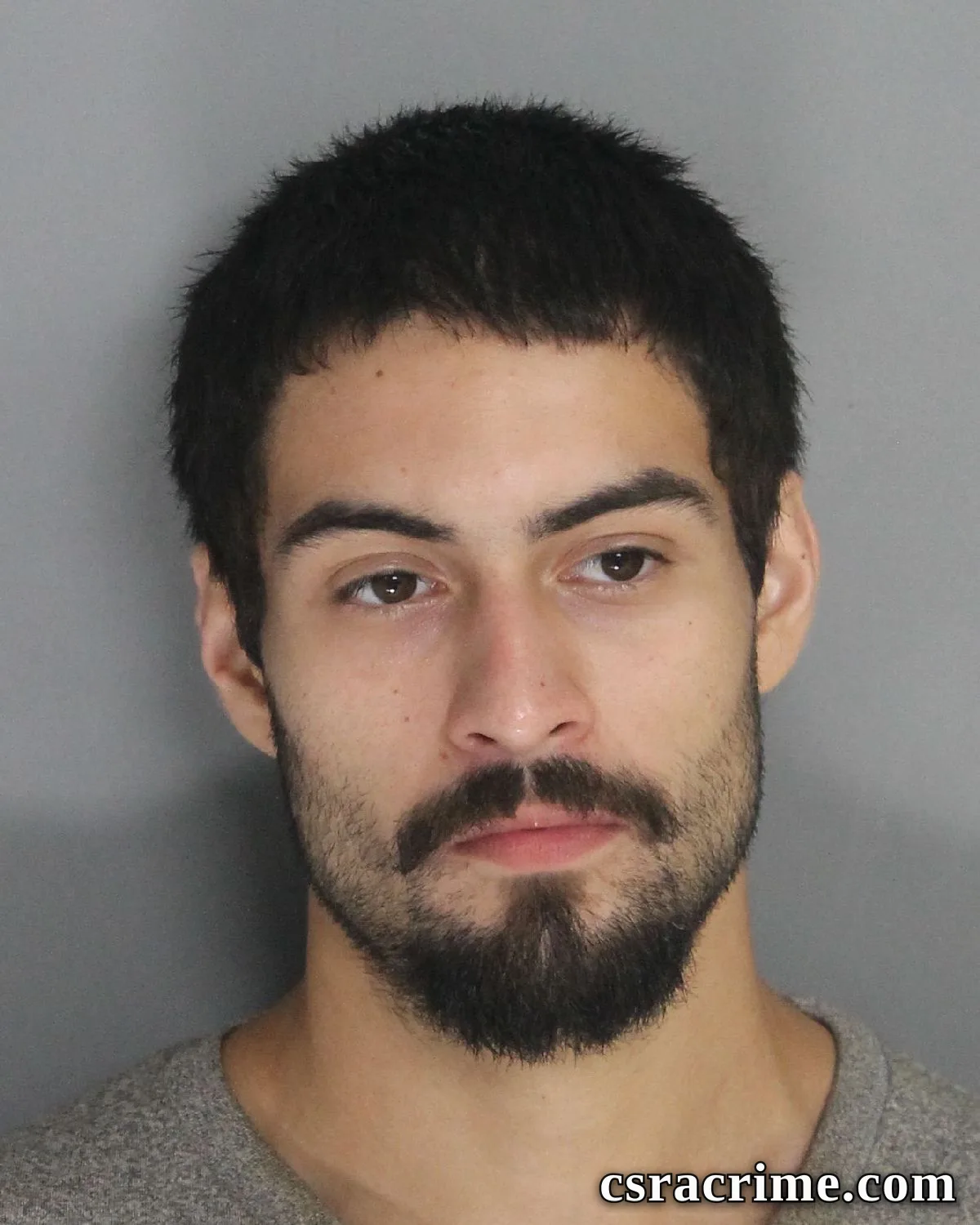 Martin Chavez JR booking photo