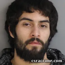 Martin Chavez JR booking photo