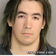 Martin Dowden booking photo