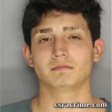 Martin Tolentino booking photo
