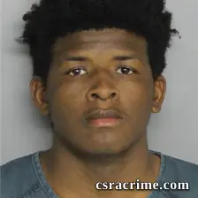 Martinez Staley booking photo