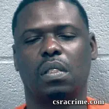 Marty Mingledolph booking photo