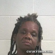 Mary Ann Tucker booking photo