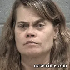 Mary Elizabeth Yeck booking photo