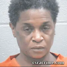 Mary Mckine booking photo