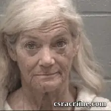 Mary Mietzeleld Raker booking photo