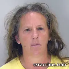 Mary Newsome booking photo