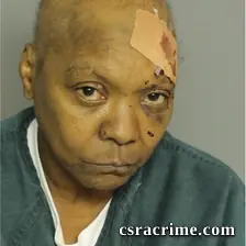 Mary Salley booking photo