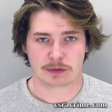 Mason Williams booking photo