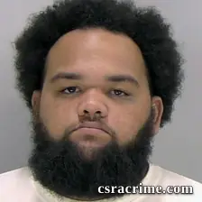 Matthew Ferguson JR booking photo