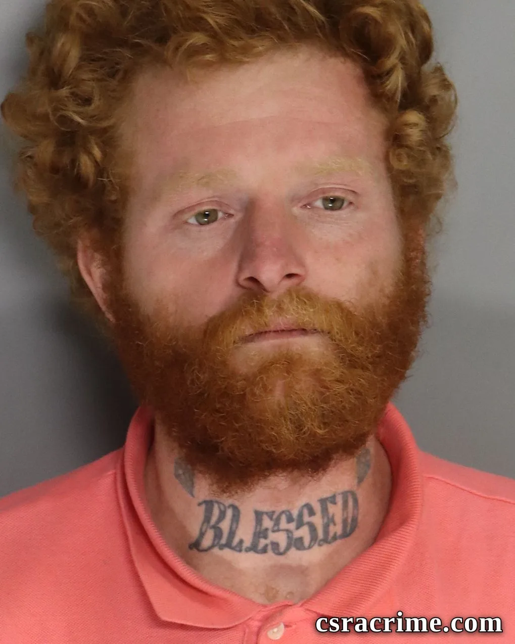 Matthew Fields booking photo