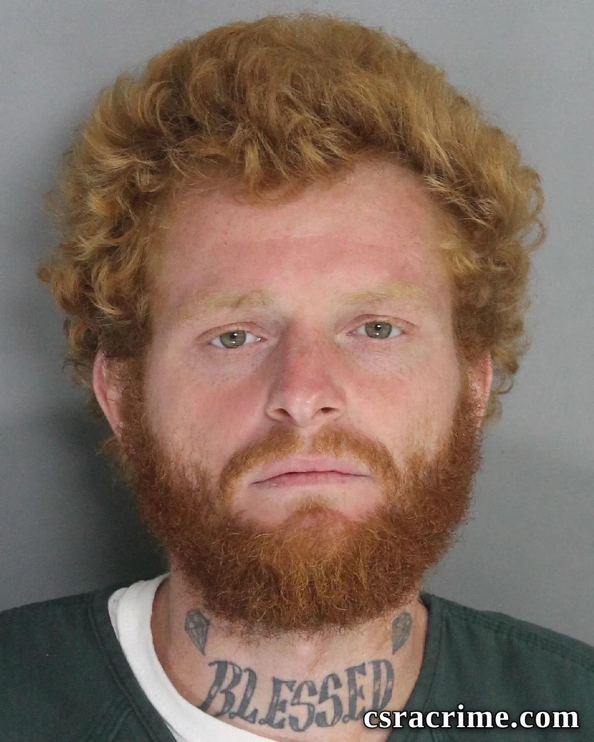 Matthew Fields booking photo