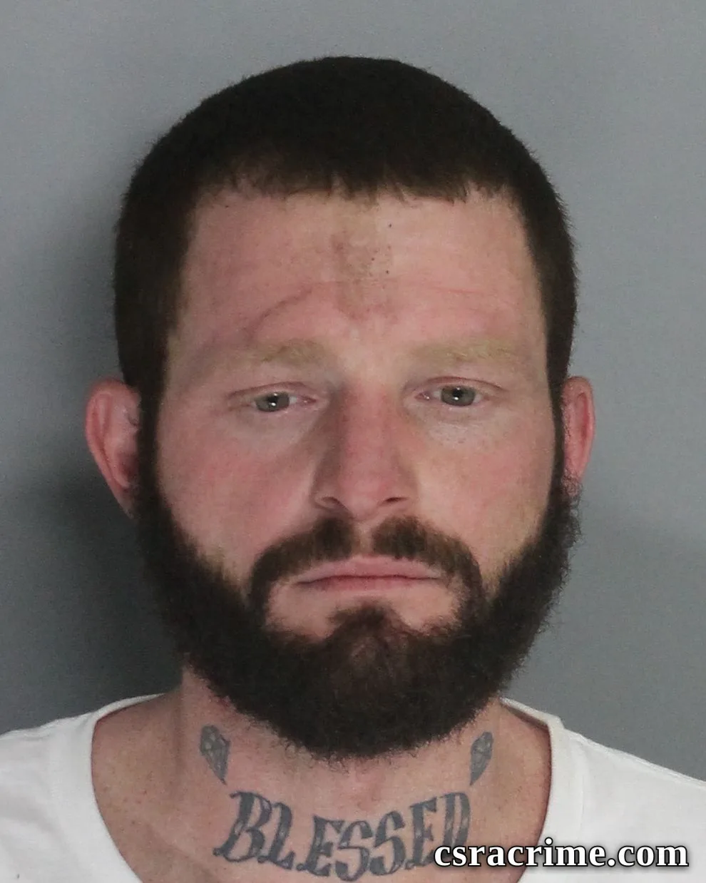 Matthew Fields booking photo