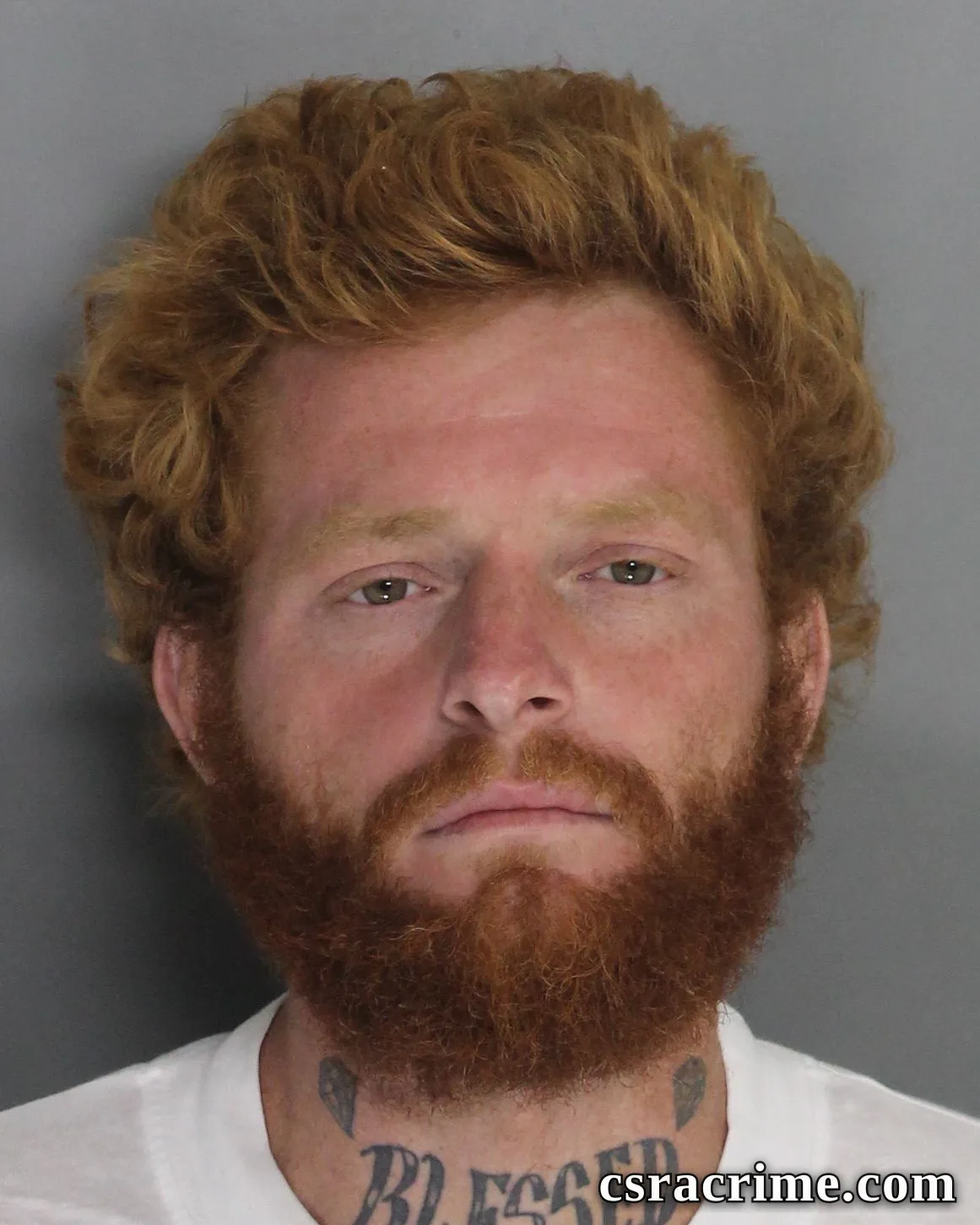 Matthew Fields booking photo