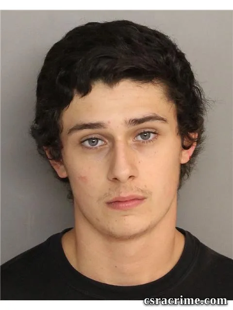 Matthew Flanagan booking photo