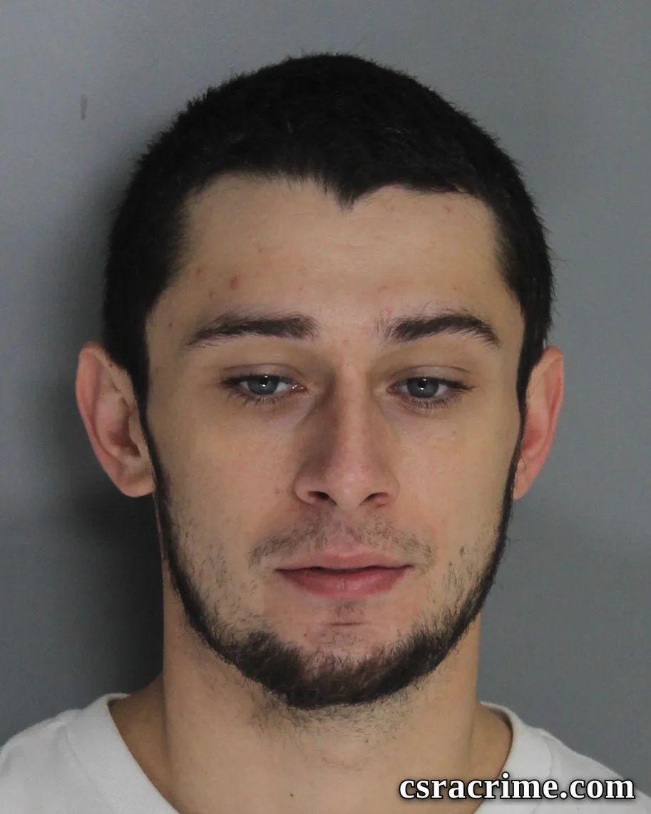 Matthew Flanagan booking photo