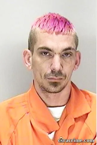 Matthew Horne booking photo