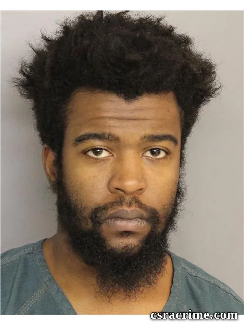 Matthew Johnson booking photo
