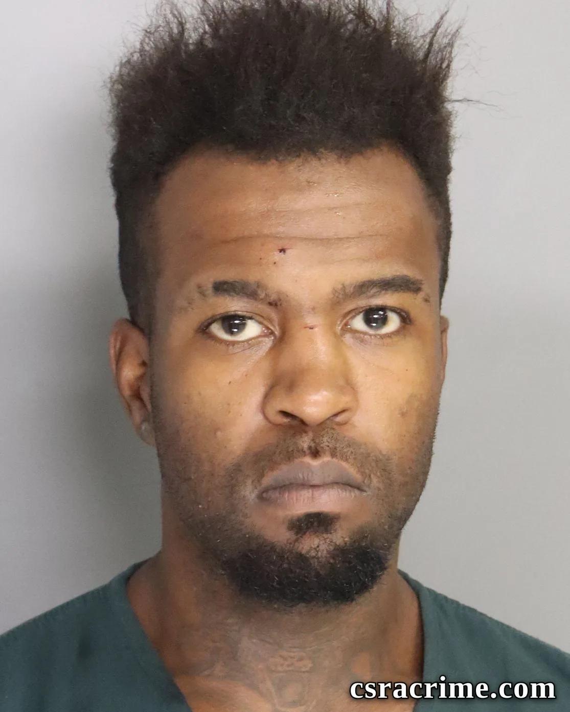 Matthew Johnson booking photo
