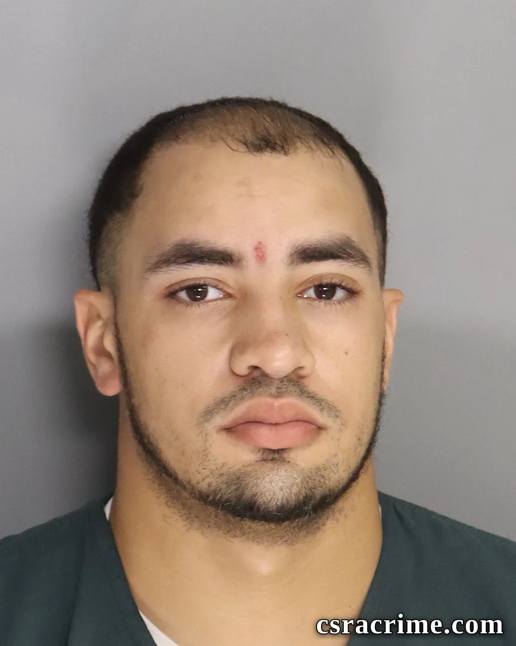 Matthew Mcknabb booking photo