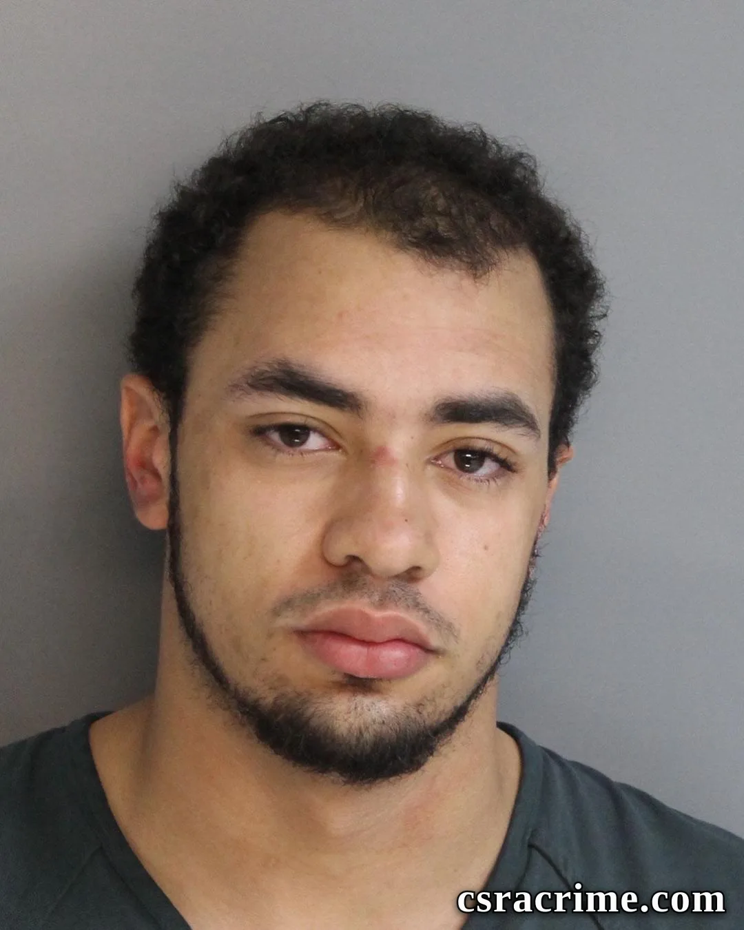 Matthew Mcknabb booking photo
