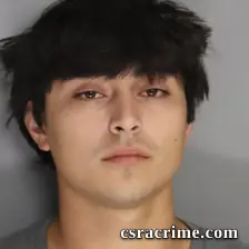 Matthew Wood booking photo
