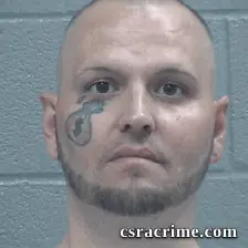 Matthew Wood booking photo