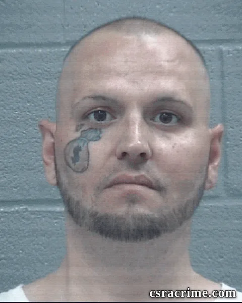 Matthew Wood booking photo