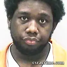 Maurice Johnson JR booking photo